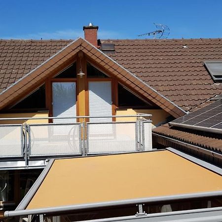 Dielheim Appartment Sonnenblick מראה חיצוני תמונה