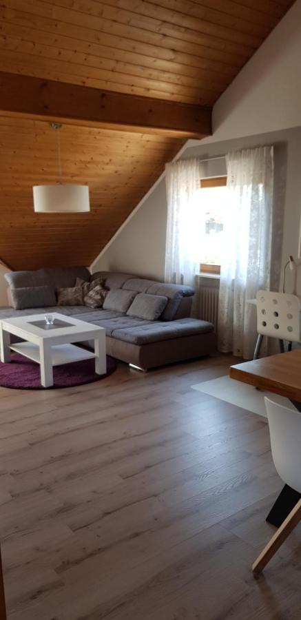 Dielheim Appartment Sonnenblick מראה חיצוני תמונה