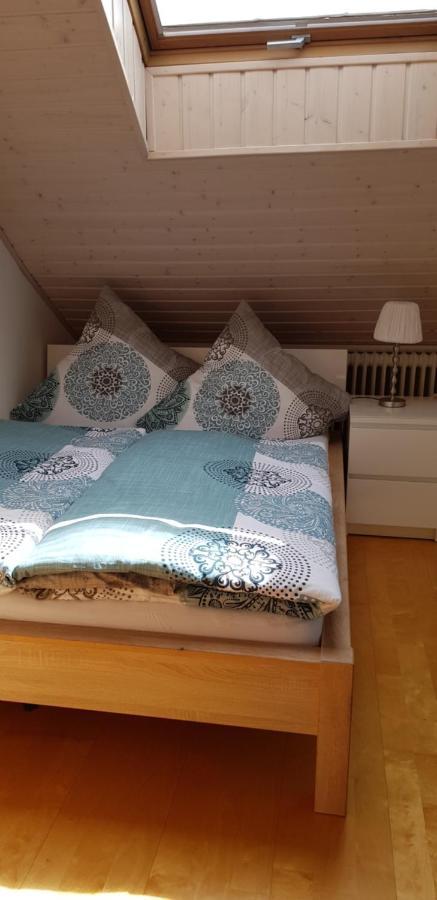 Dielheim Appartment Sonnenblick מראה חיצוני תמונה